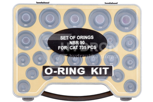 BOX CAT ORINGI.jpg
