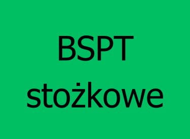 BSPT stożkowe-hydron
