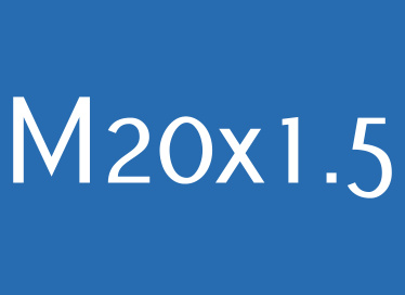 gwint M20x1.5